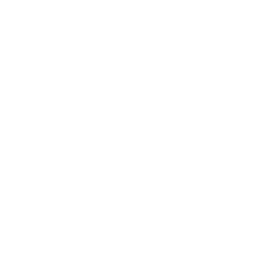 KPMG PTL